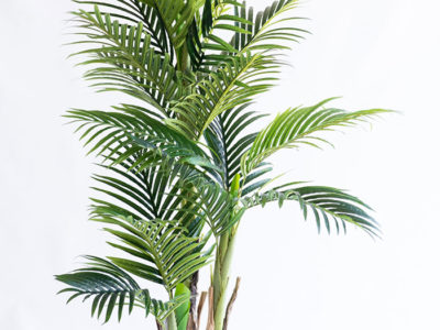 Realistic looking artificial fake tree used in offices, home and plantscaping for sale and bulk purchase online - ARECA PALM