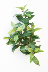 Realistic looking artificial fake tree used in offices, home and plantscaping for sale and bulk purchase online - BAY LEAF
