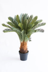 Realistic looking artificial fake tree used in offices, home and plantscaping for sale and bulk purchase online - CYCAS