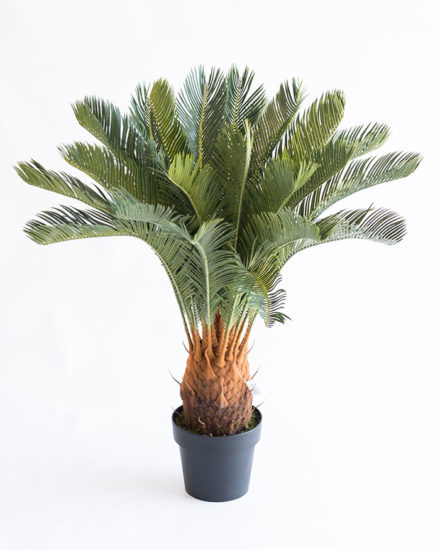 Realistic looking artificial fake tree used in offices, home and plantscaping for sale and bulk purchase online - CYCAS