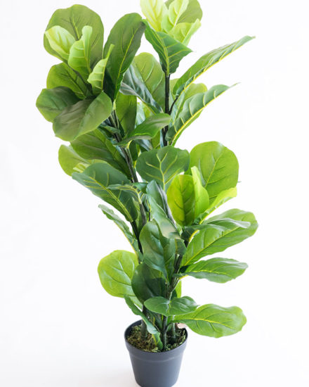 Realistic looking artificial fake tree used in offices, home and plantscaping for sale and bulk purchase online - FIGGLE LEAF FICUS