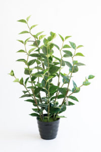Realistic looking artificial fake tree used in offices, home and plantscaping for sale and bulk purchase online - GREEN JOY PLANT