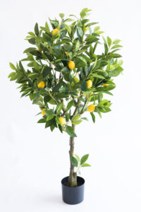 Realistic looking artificial fake tree used in offices, home and plantscaping for sale and bulk purchase online - LEMON TREE