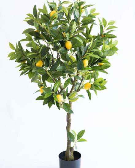 Realistic looking artificial fake tree used in offices, home and plantscaping for sale and bulk purchase online - LEMON TREE