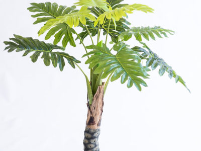 Realistic looking artificial fake tree used in offices, home and plantscaping for sale and bulk purchase online - PHILODENDRON