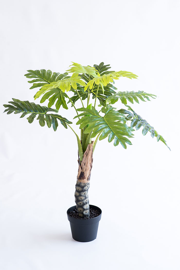 Realistic looking artificial fake tree used in offices, home and plantscaping for sale and bulk purchase online - PHILODENDRON