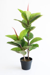 Realistic looking artificial fake tree used in offices, home and plantscaping for sale and bulk purchase online - RUBBER TREE