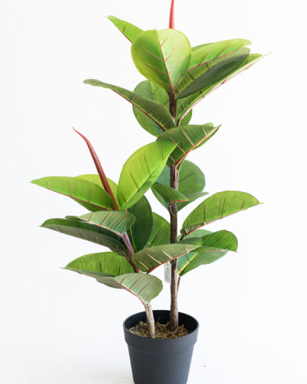 Realistic looking artificial fake tree used in offices, home and plantscaping for sale and bulk purchase online - RUBBER TREE