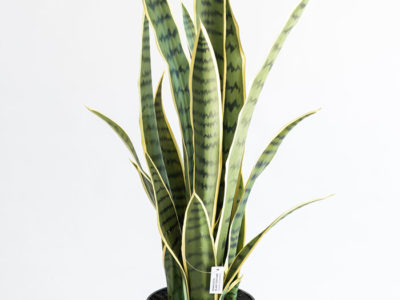 Realistic looking artificial fake tree used in offices, home and plantscaping for sale and bulk purchase online - SANCEIVERIA