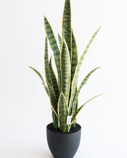 Realistic looking artificial fake tree used in offices, home and plantscaping for sale and bulk purchase online - SANCEIVERIA
