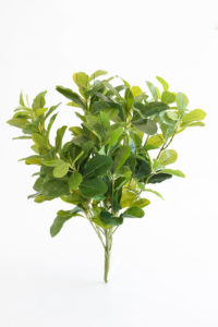 Realistic looking artificial fake tree used in offices, home and plantscaping for sale and bulk purchase online - SHEFFLERA