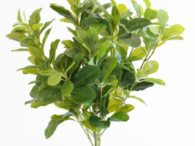 Realistic looking artificial fake tree used in offices, home and plantscaping for sale and bulk purchase online - SHEFFLERA