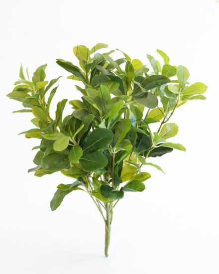 Realistic looking artificial fake tree used in offices, home and plantscaping for sale and bulk purchase online - SHEFFLERA