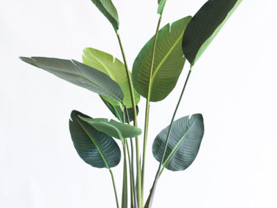 Realistic looking artificial fake tree used in offices, home and plantscaping for sale and bulk purchase online - STRELITZIA BANANA PALM