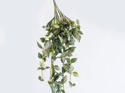 Realistic looking artificial fake tree used in offices, home and plantscaping for sale and bulk purchase online - WANDERING JEW