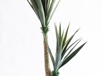 Realistic looking artificial fake tree used in offices, home and plantscaping for sale and bulk purchase online - YUCCA TREE