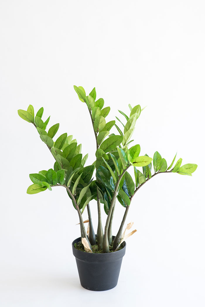 Realistic looking artificial fake tree used in offices, home and plantscaping for sale and bulk purchase online - ZAMIFOLIA