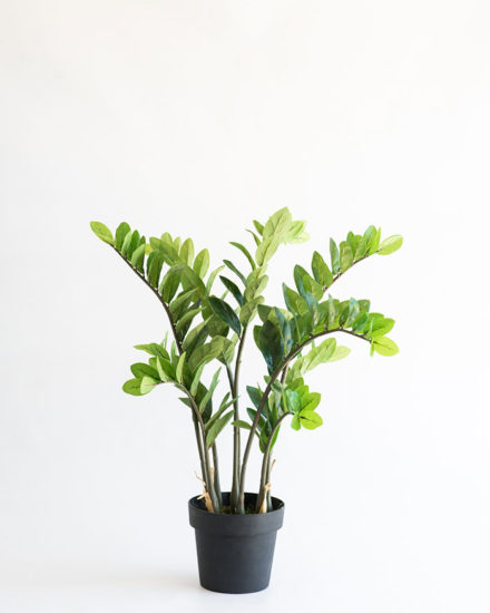 Realistic looking artificial fake tree used in offices, home and plantscaping for sale and bulk purchase online - ZAMIFOLIA