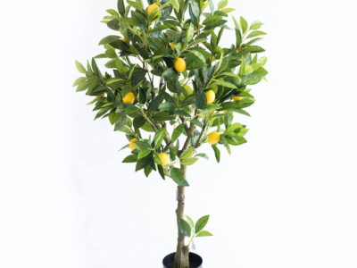 Realistic looking artificial fake tree used in offices, home and plantscaping for sale and bulk purchase online - LEMON TREE