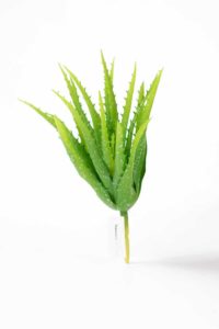 Artificial Aloe Pvc 24cm