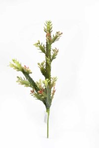 Arificial Euforbia Cactus Succulent Pick with Detailed Leaves