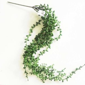 Hanging seedvine 80cm