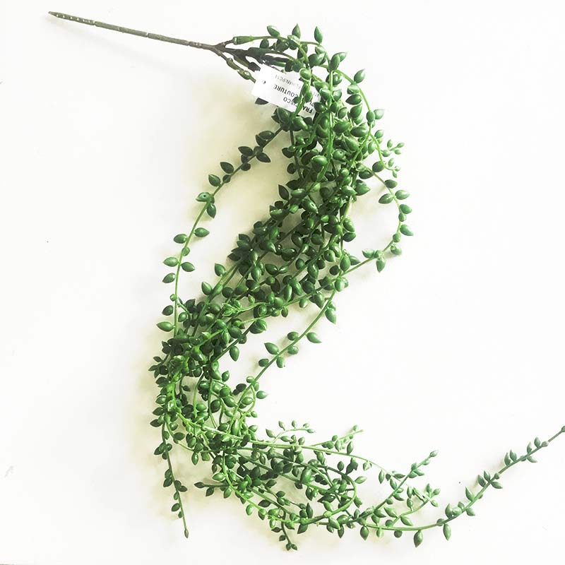 Hanging seedvine 80cm